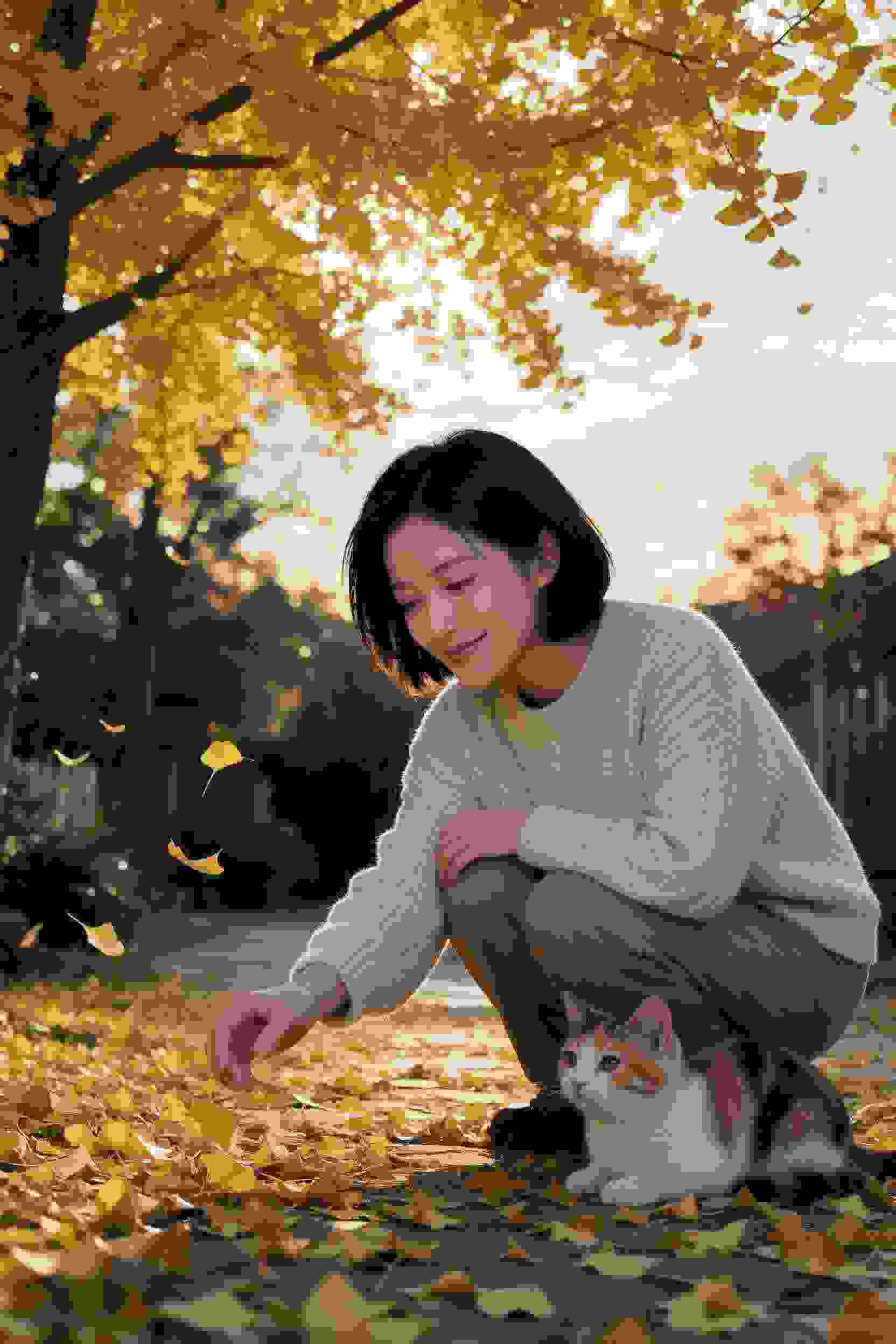 更新